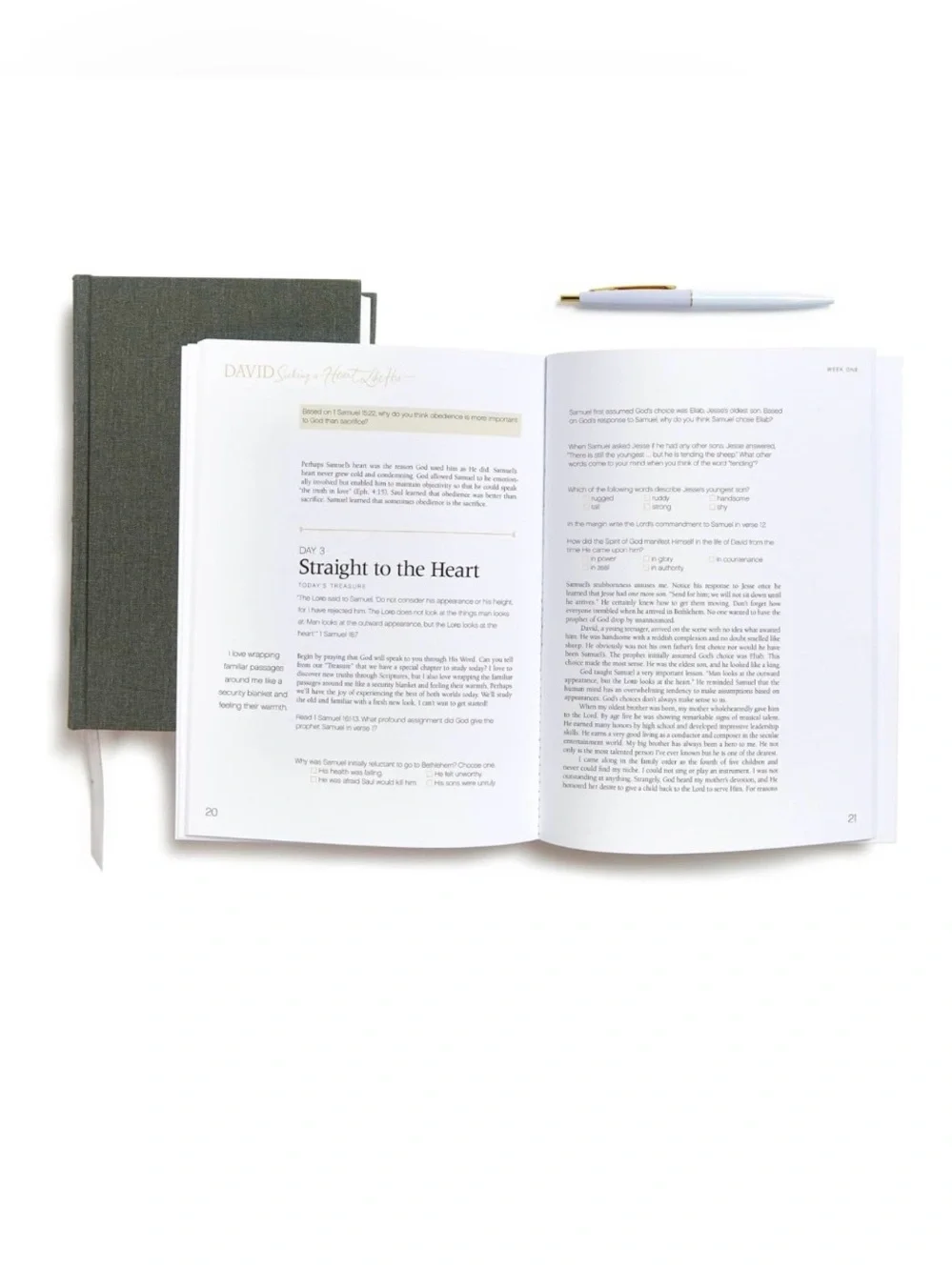David - Bible Study Book Updated Edition: Seeking a Heart Like His by Beth Moore
